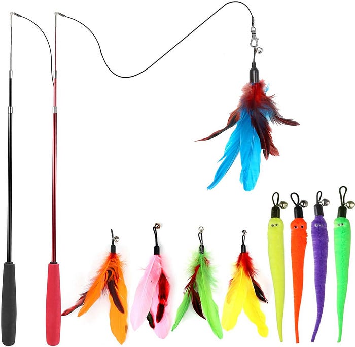Feather cat toys.