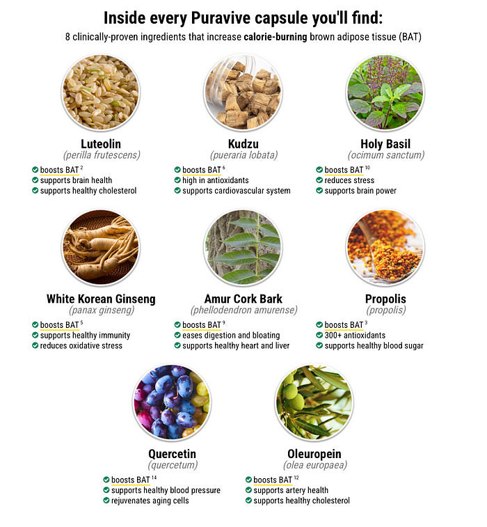 picture showing 8 fat burning herbs