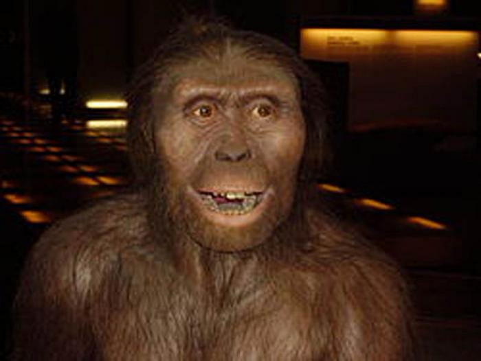 How do early hominins connect with how we live as a modern society?