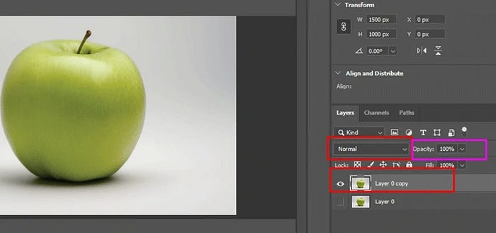 Using-Layers-Panel-to-Edit-Image