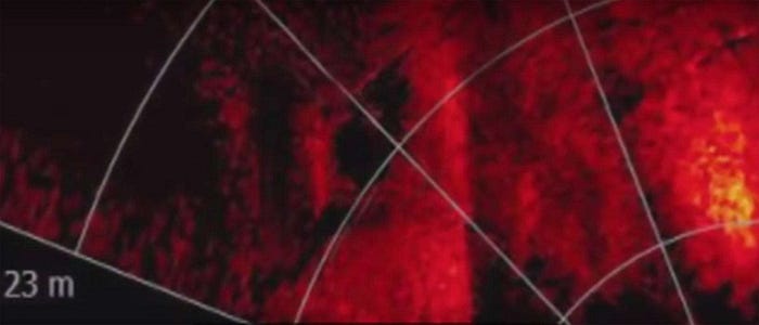 Anomalian yläosa, jossa on 2 reikää rungossa [7]