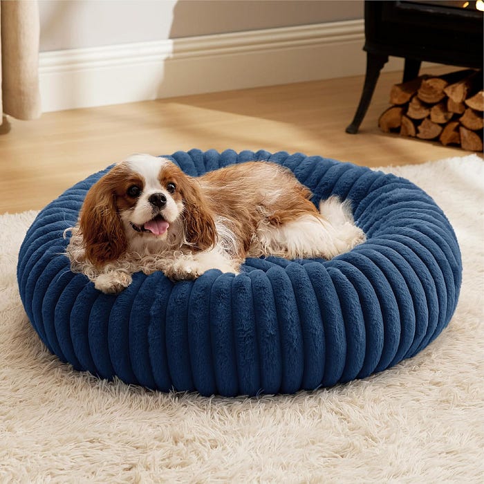 Dog laying on a round dog bed.