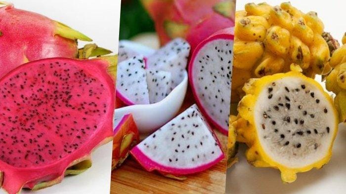 Manfaat mengonsumsi buah naga bagi tubu