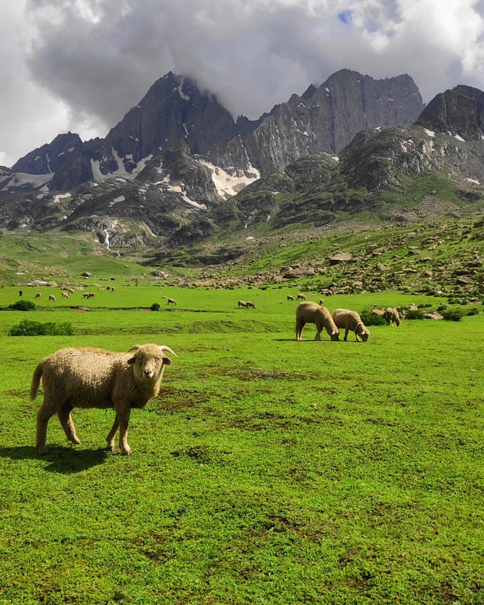Kashmir Great Lakes Trek