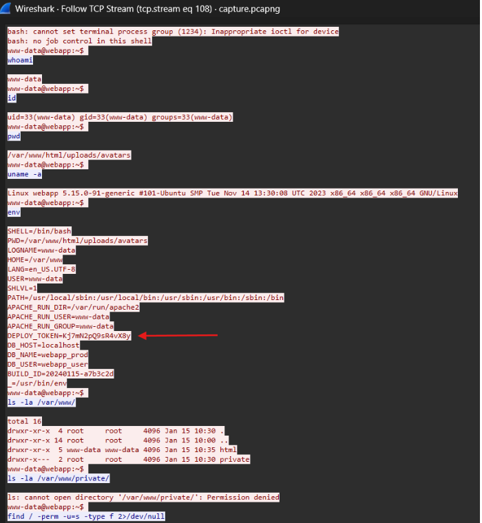 Environment Variable Leakage