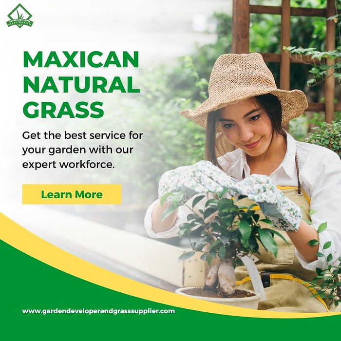 MAXICAN NATURAL GRASS