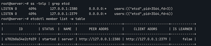etcd verification