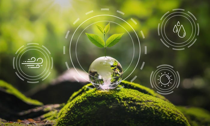 Agriculture Software Development: 3 Success Stories | Medium