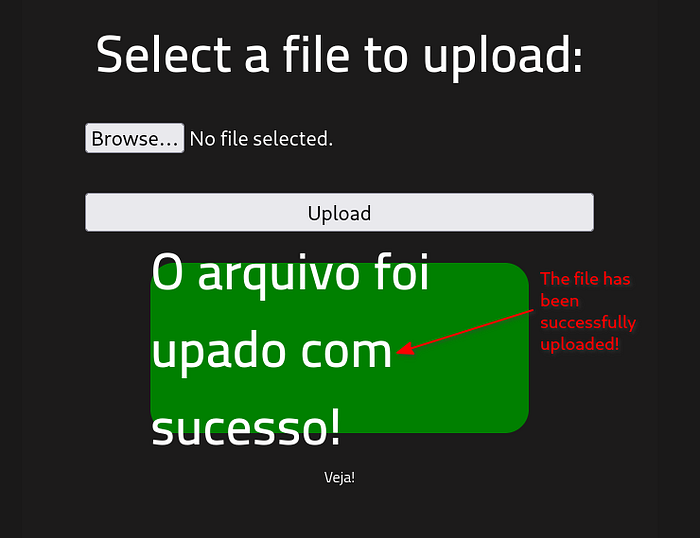 http://<TARGET_IP>/panel/ in browser with successfull upload