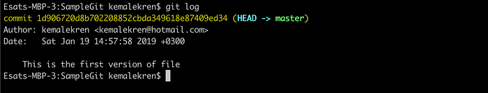 git log and clean git status