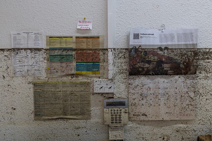 Access Signal Action Data Stewardship Lessons From Valencias Floods