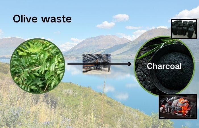 Can olive waste be used to produce charcoal?