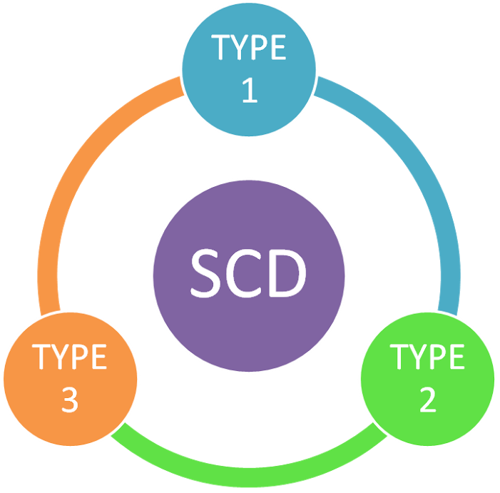 Slowly Changing Dimensions Maintaining Historical Data in Data