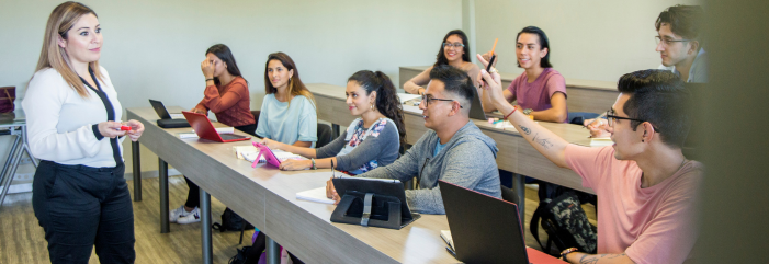 Acewall Scholars’ Educational Courses: Personalized Learning to Unlock Academic Success