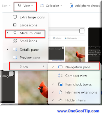 How to Play the Google Maps Snake Game, by www.OneCoolTip.com, Nov, 2023