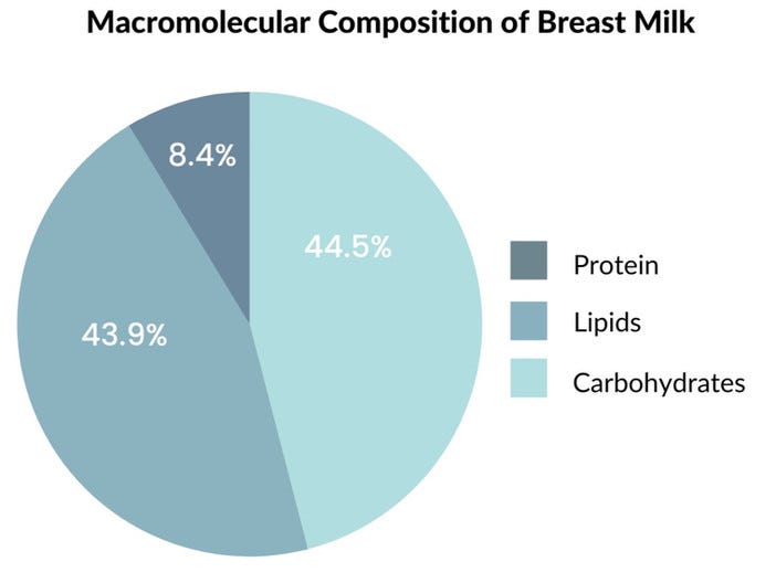 The Second Most Abundant Macronutrient in Breast Milk: Lipids, by BIOMILQ