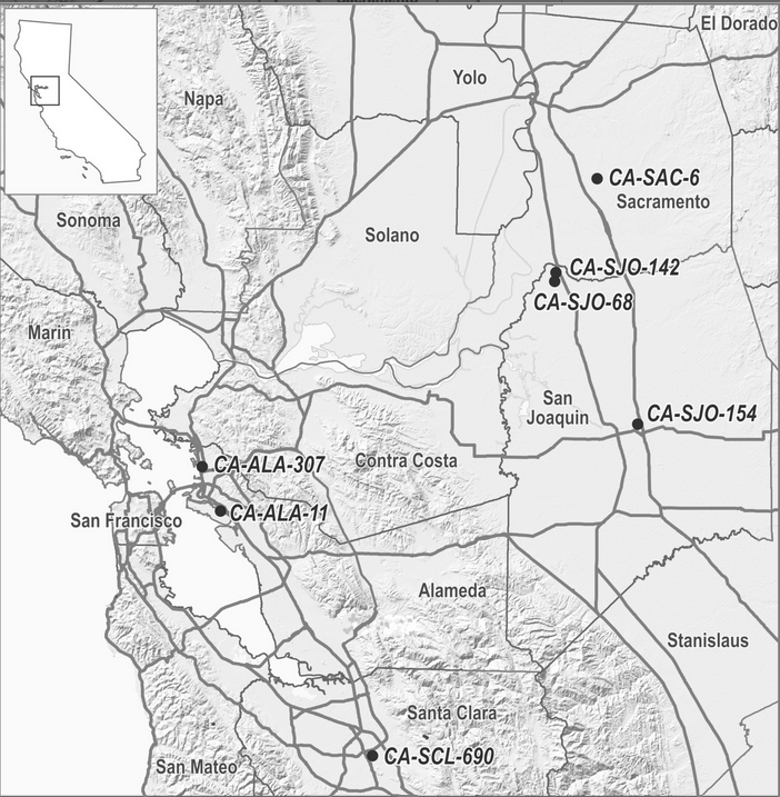 Map showing sites were individuals came from across California including: SCL = Santa Clara County; ALA = Alameda County; SAC = Sacramento County; SJO = San Joaquin County. Credit: Caine et al. 2026