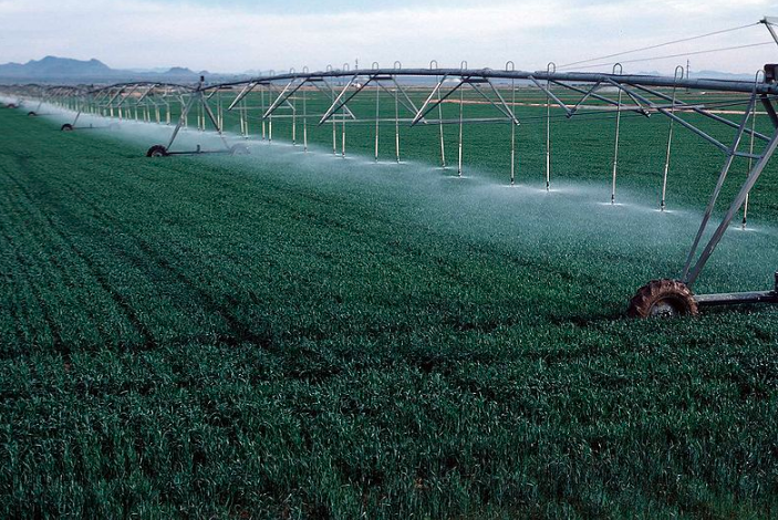ISRAEL AGRICULTURE