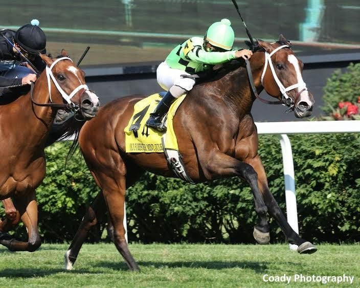 Exacta Horse Racing by lotohero Medium