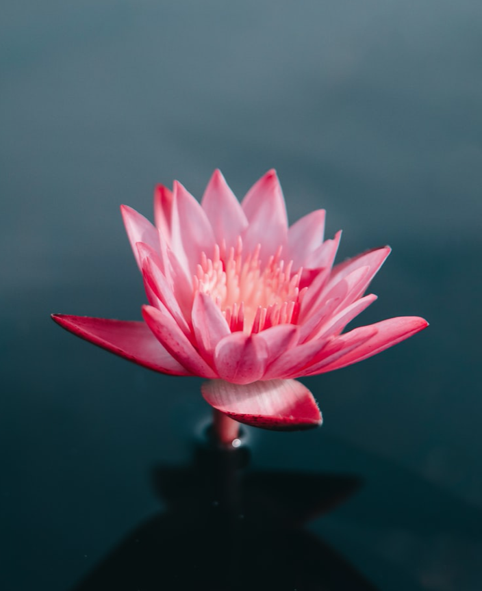 Turning Days Of Distancing Into Days Of Reflection By Andrea Kott