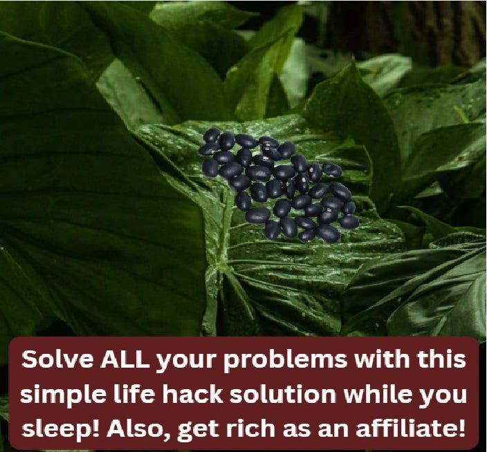 Chameleon Carol Fell For the Miracle Cure Ads | by Lizzie Lizard Brain