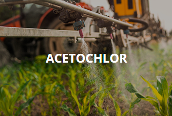 High-intensity spring rains push acetochlor off fields into waterways | by  Cedar River Watershed District | Mar, 2026 | Medium