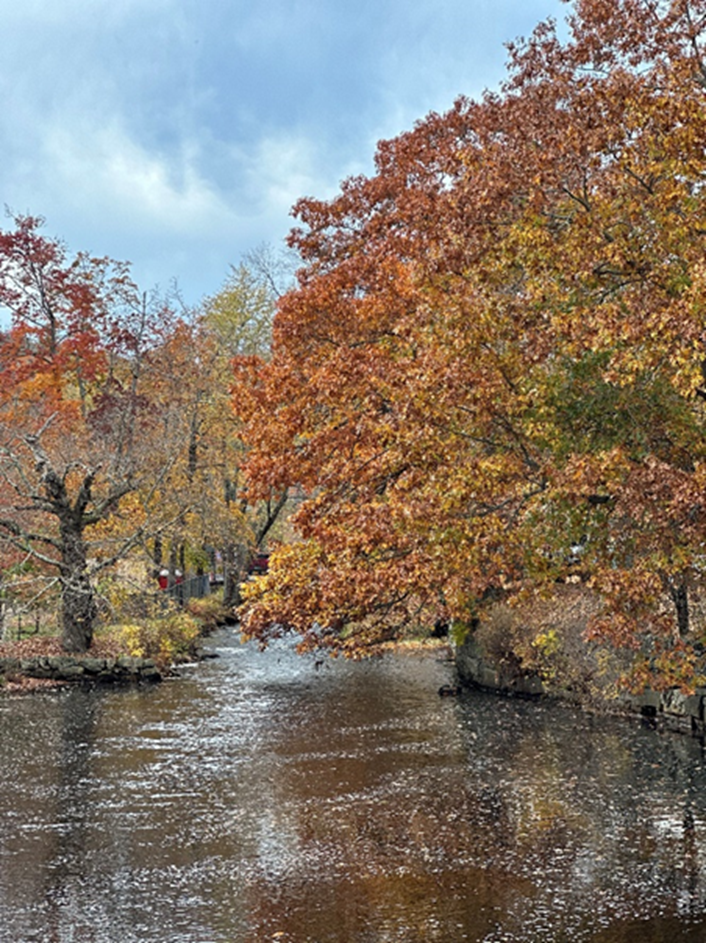 Friday Afternoon in Stafford, CT. Join me in a walk around Stafford, CT
