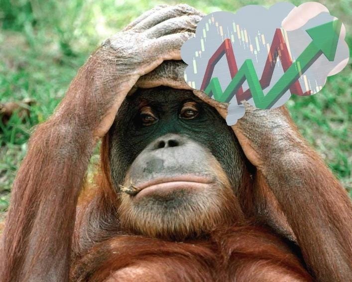 Monkey and Stock Market Story