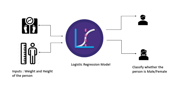 Predict The Gender Using Logistic Regression Step By Step By Priyanka K Medium 5666