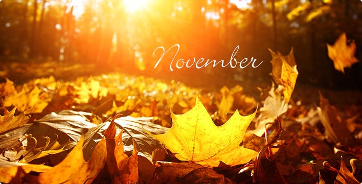 It’s November. All too soon we are finding ourselves… | by Finding ...