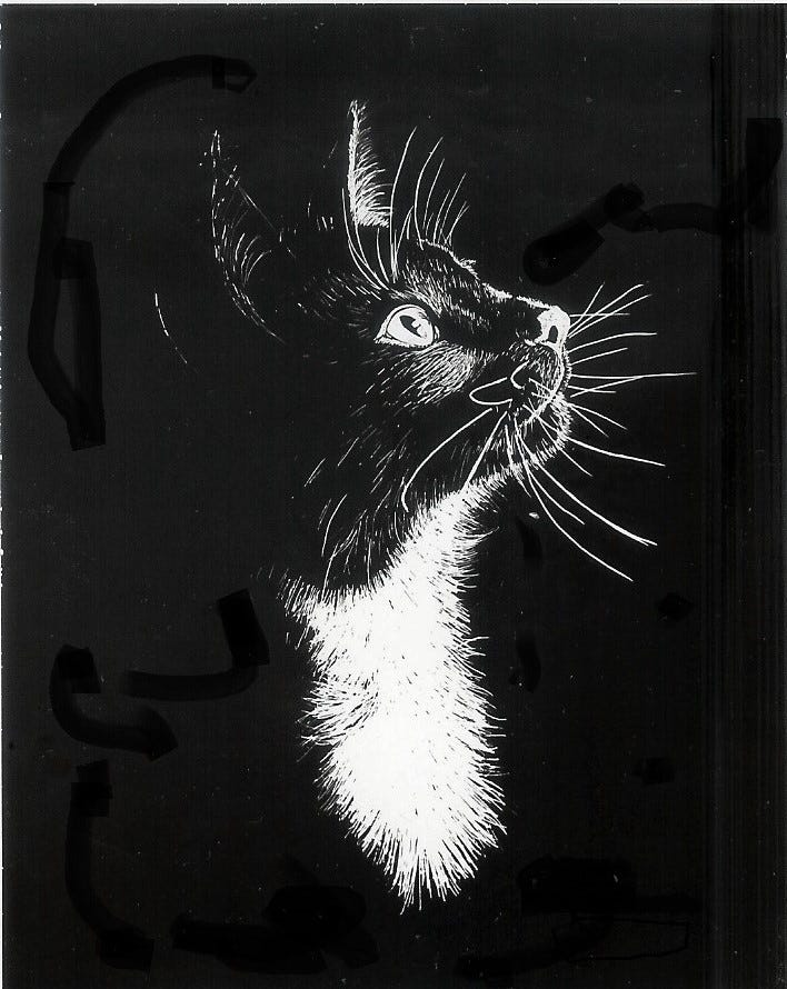 Easy Scratchboard Art