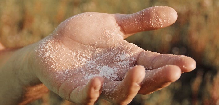 Salting The Earth With Holiness Faith Hope Charity And Love An salting-the-earth-with-holiness-faith-hope-charity-and-love-an