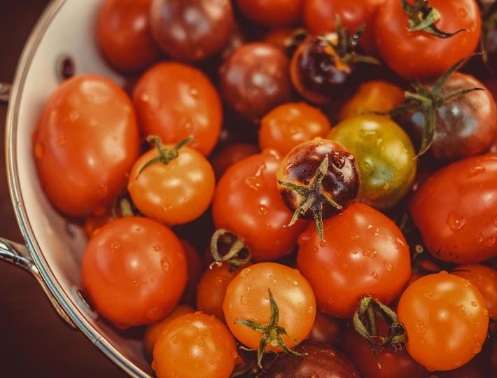 How to Keep Tomatoes Fresh in the Fridge Tips for Juicy Summer Produce by KitchenVS Medium