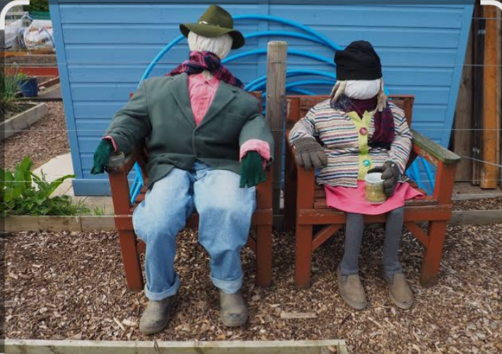Old clothes and shoes may be used to make scarecrows to help in crop pest control