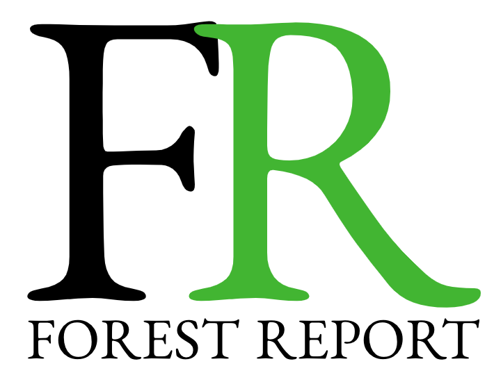 Introducing Forest Report: Deforestation intelligence for everyone | by ...