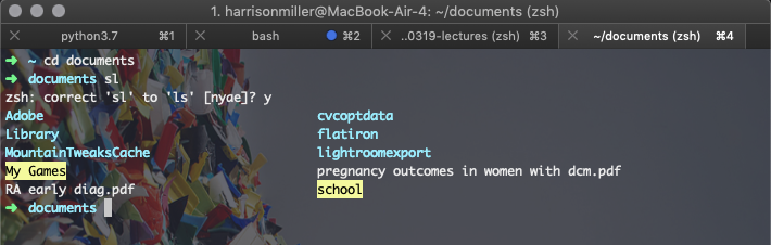 Bash vs Z shell: A Tale of Two Command Line Shells | by Harrison Miller ...