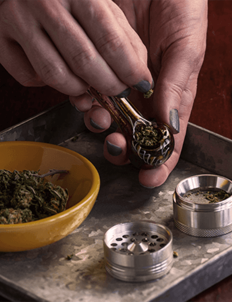https://cookiesweedclub.com