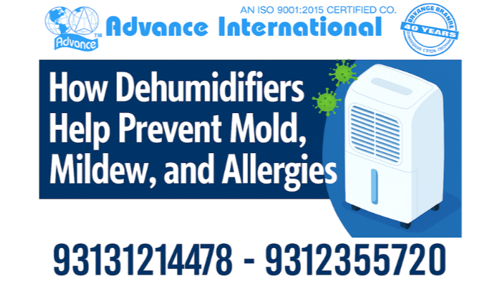 How Dehumidifiers Help Prevent Mold, Mildew, and Allergies