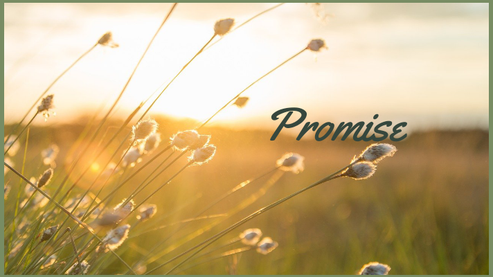 Promise I received a late night text from an by Aminajunaid Medium Promise I received a late night text from an by Aminajunaid Medium