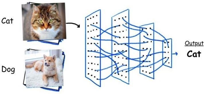 Building a Convolutional Neural Network for Image Classification: | by ...