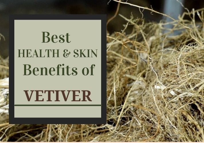 Best Health & Skin Benefits of Vetiver Snaana Social Medium