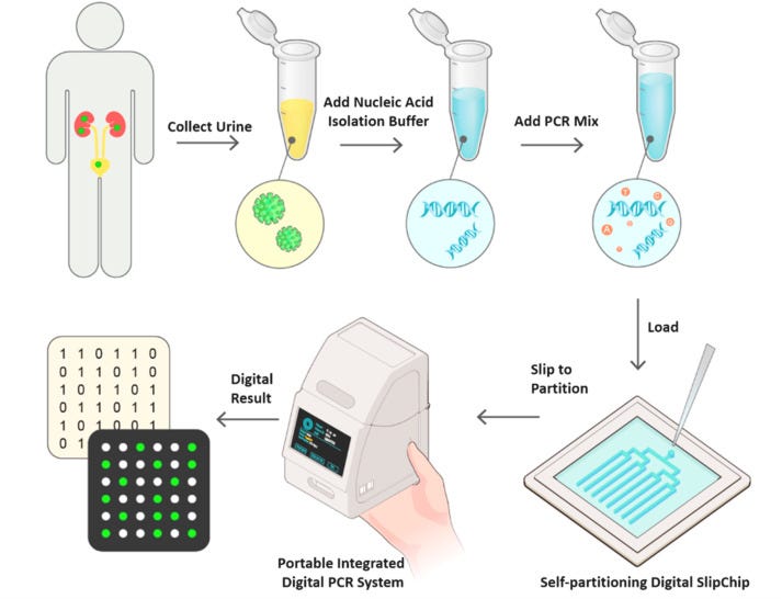 Portable PCR Systems Market Drivers Shaping Global Growth and Diagnostic Innovations