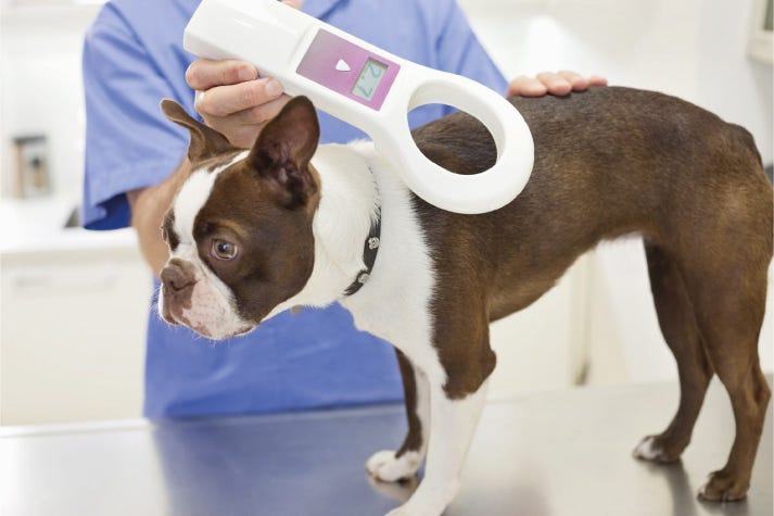 Pet Microchip for Dogs