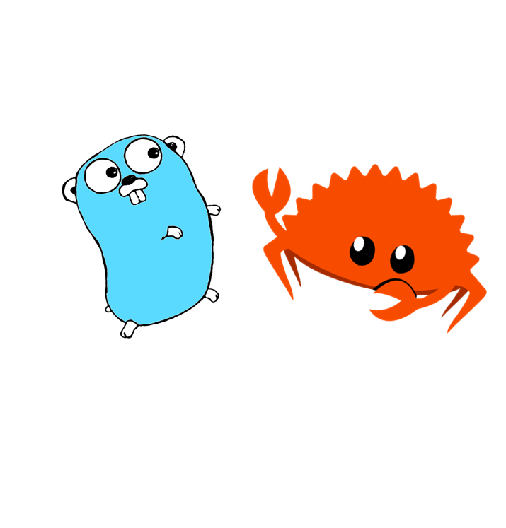 Rust Versus Go. Which Is My Preferred Language? | by Mike Riley | The ...