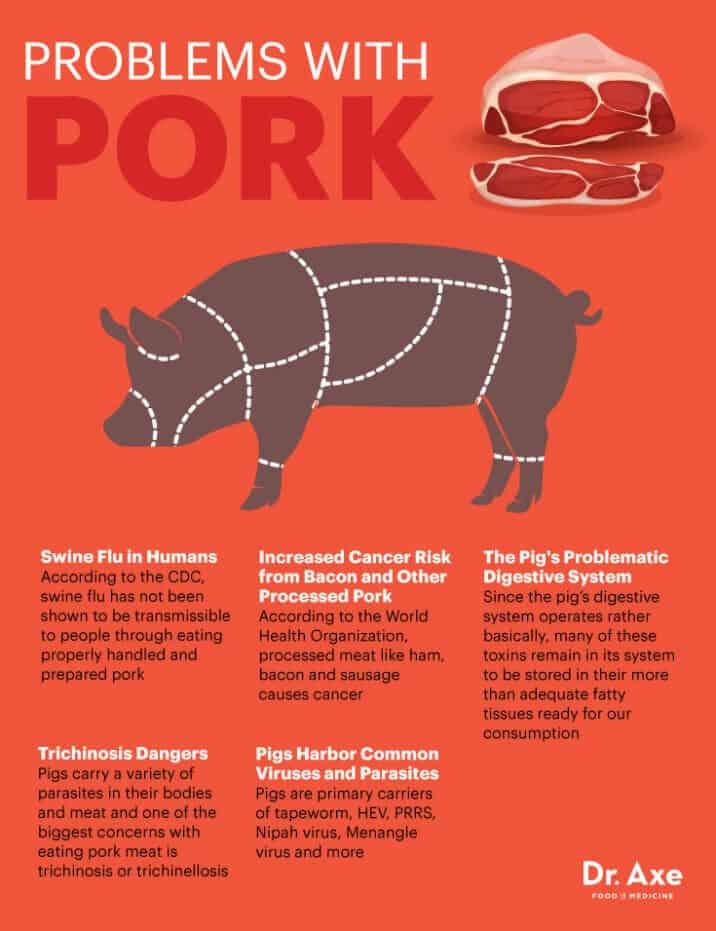why-you-should-not-eat-pig-by-generation-observer-medium
