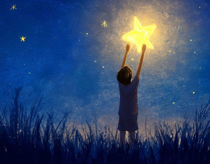 The Dream Of The Wild