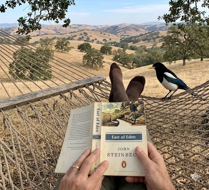 Steinbeck’s East of Eden — A Book a Highly Educated Brit Might not Get