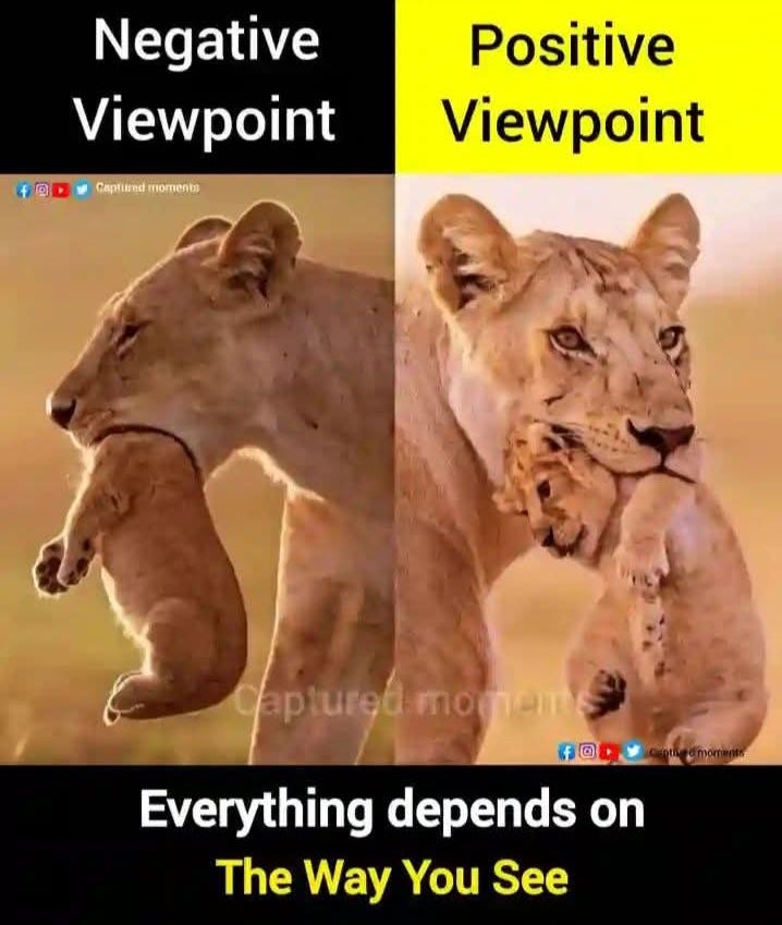 Two Sides of a Picture : The Positive and Negative Realities of Life ...