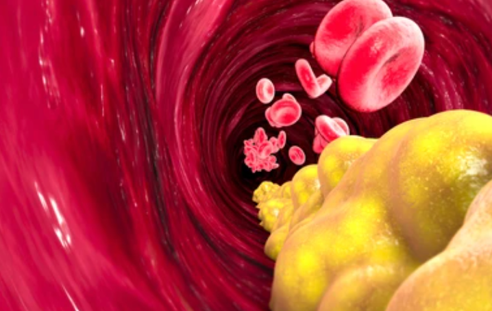 Can Cholesterol help you live longer?