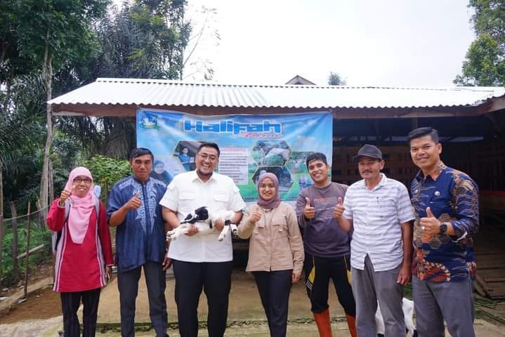 Peternakan Kambing Etawa Cukup Menjanjikan Keuntungan
